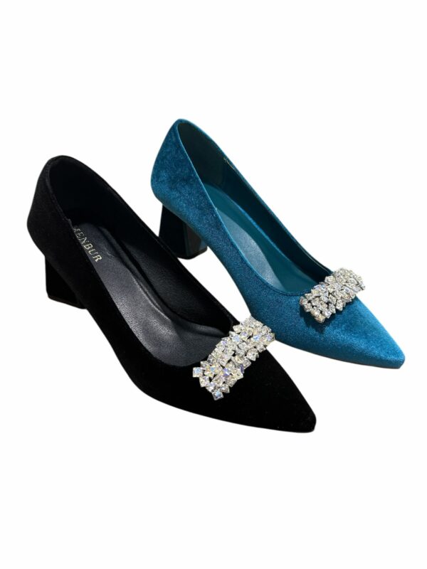 IMG-20250305-WA0024 ZAPATO TERCIOPELO BROCHE