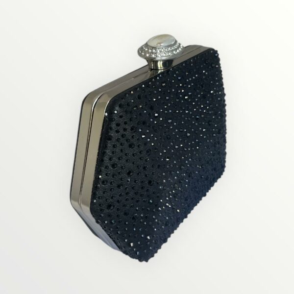 CARTERA BRILLOS