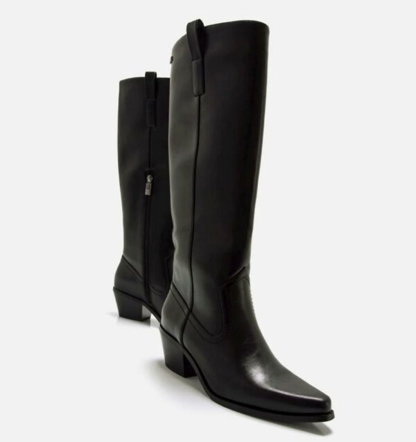 BOTA TEXAS
