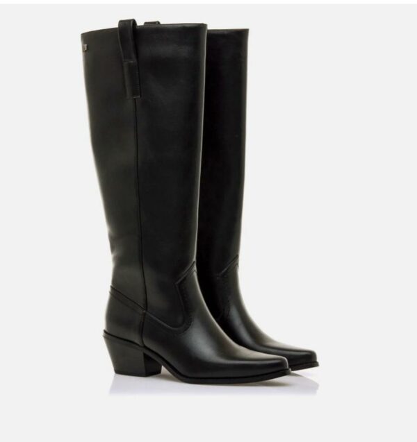 BOTA TEXAS