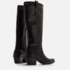 BOTA TEXAS