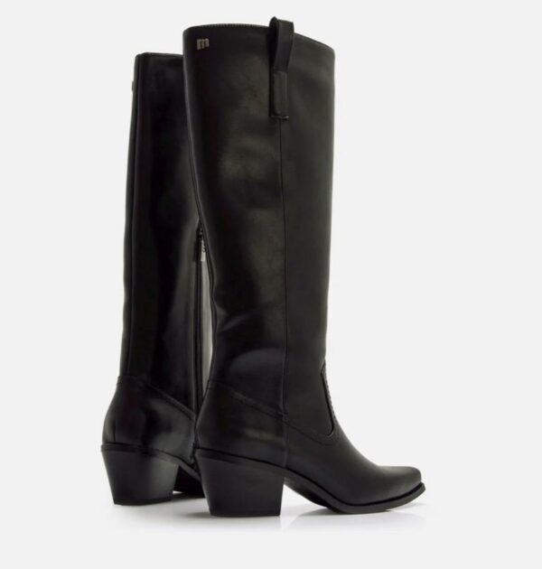 BOTA TEXAS