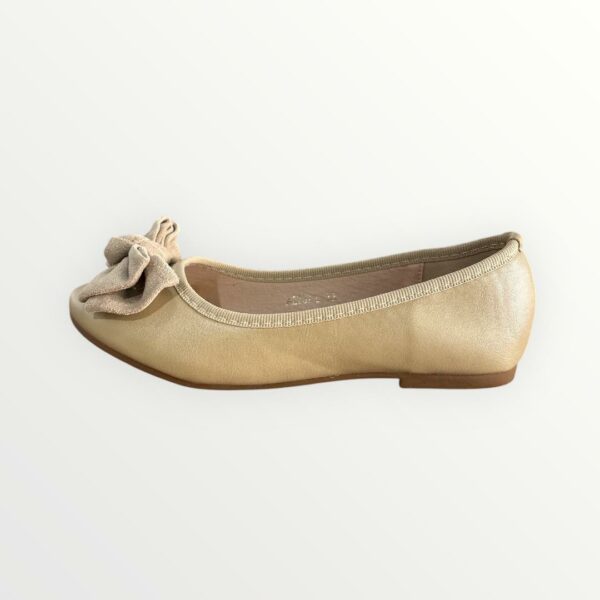 MERCEDITA LAZO MD 2702