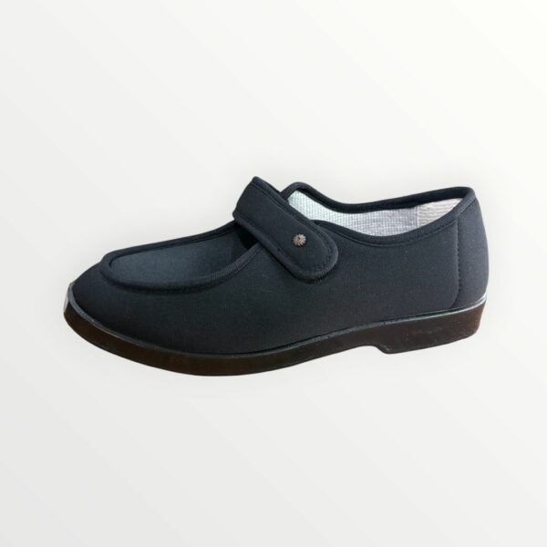 ZAPATO 2024