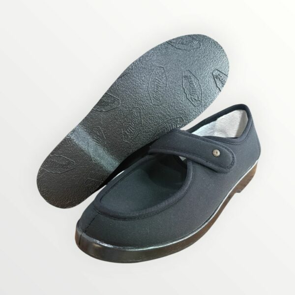 ZAPATO 2024