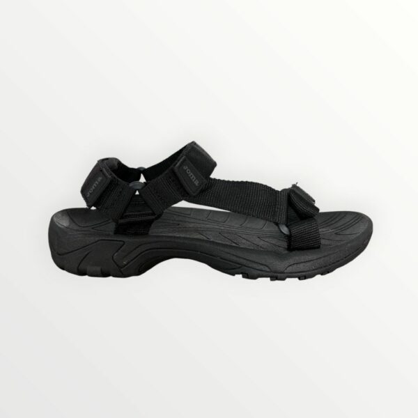 CALIFORNIANA SLIBS2601V